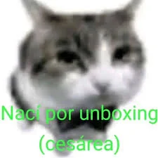 Meme de un gato desenfocado con el texto "Nací por unboxing (cesárea)"